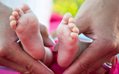 surrogacy accommodation for international parents