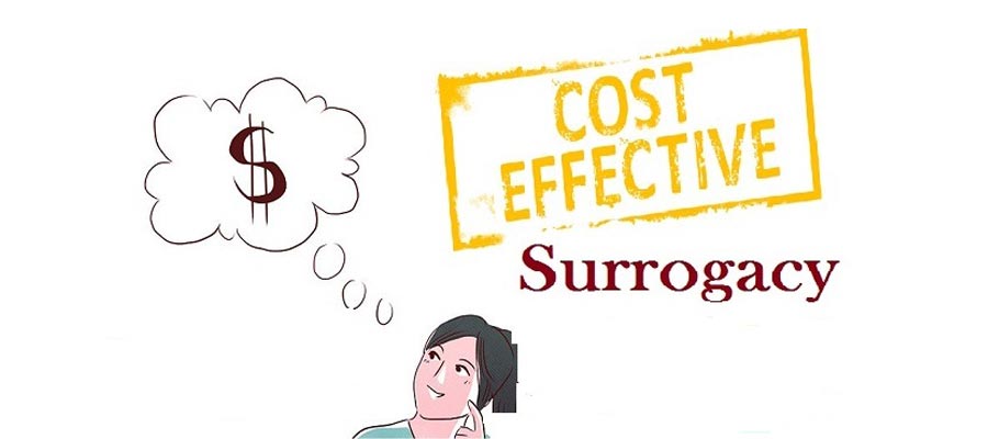 surrogacy cost for singles