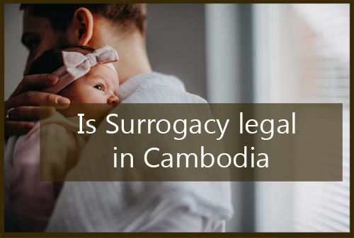 surrogacy legislation in cambodia