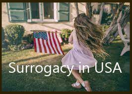 surrogacy alternatives, surrogacy in USA