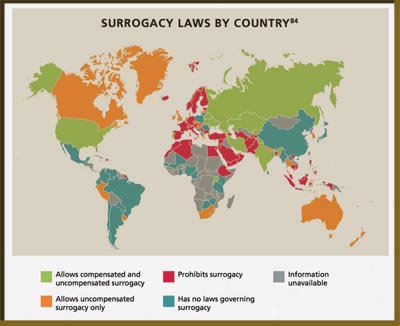 surrogacy laws