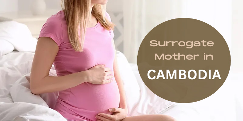 surrogate mother cost in Cambodia