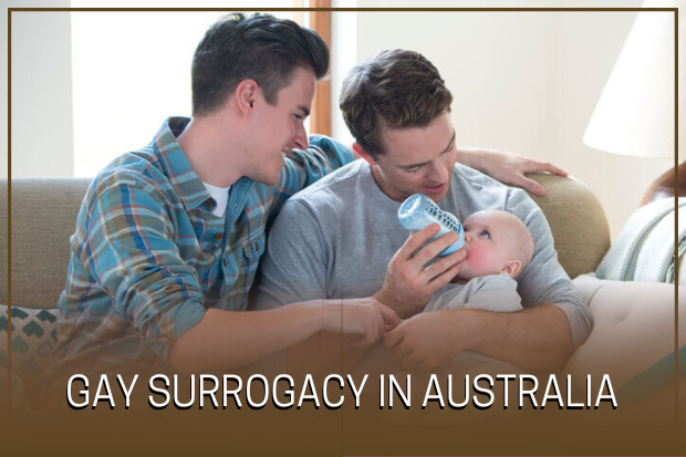 gay surrogacy in australia