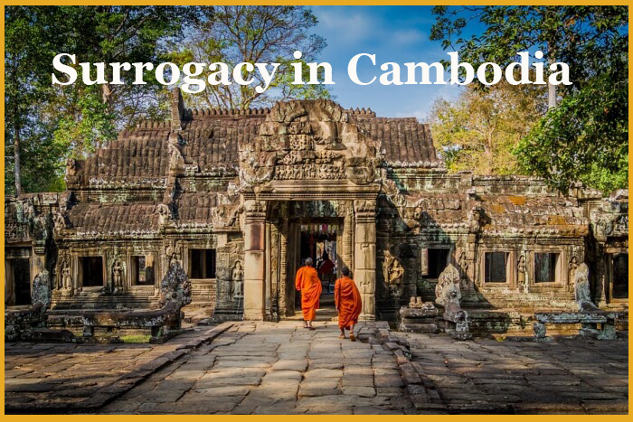 surrogacy agency in Cambodia
