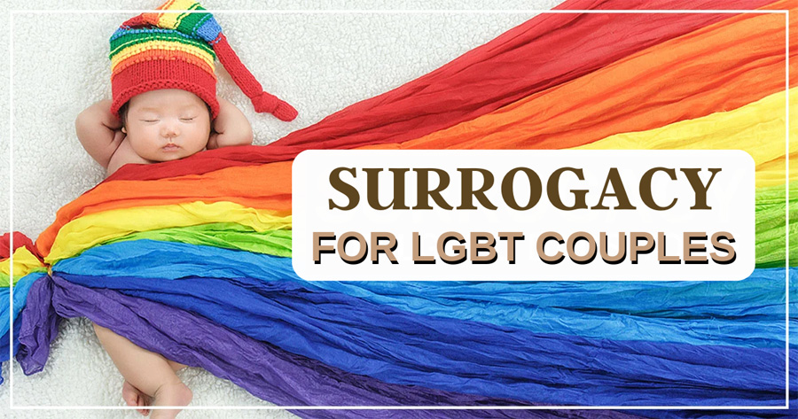 gay surrogacy in Ukraine