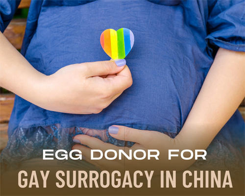 gay surrogacy cost in China