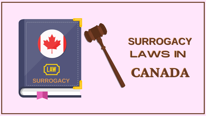 surrogacy laws in canada