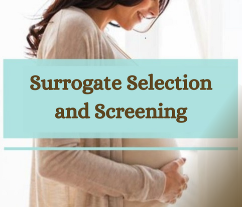 surrogate mother selection