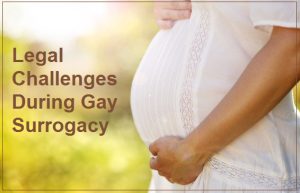 gay surrogacy in Georgia