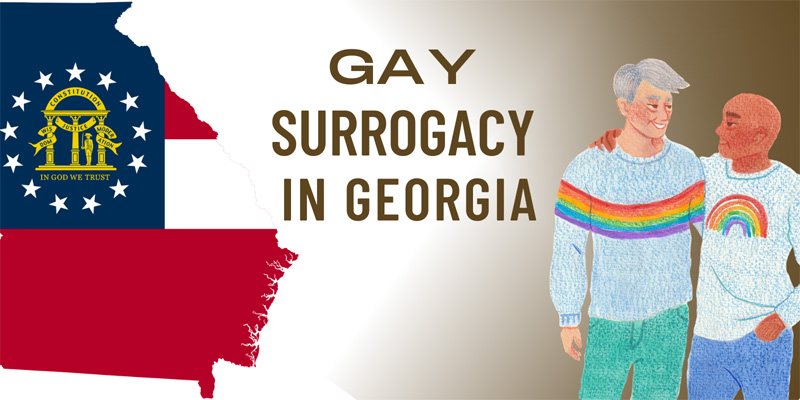 gay surrogacy cost in Georgia