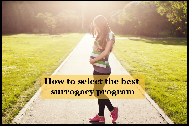 international surrogacy programs