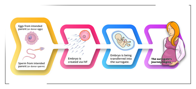 length of a surrogacy journey