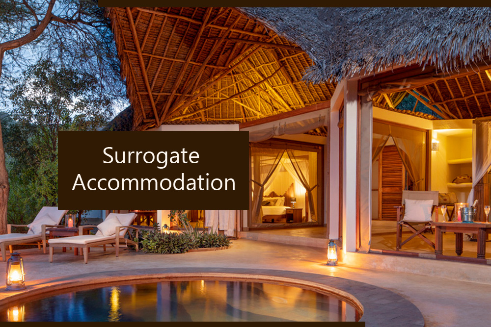 Surrogate Accommodation